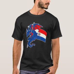 Epischer Drache mit Paraguay-Flagge Paraguayer T-Shirt