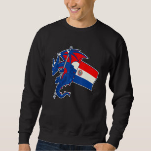 Epischer Drache mit paraguayischer Flagge Paragua Sweatshirt