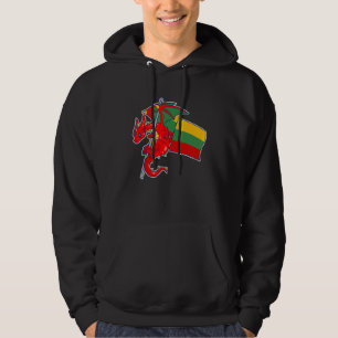 Epischer Litauischer Drache Stolz Litauen-Flagge Hoodie