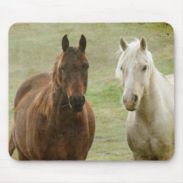 Equine Buddies Mousepad (Vorne)