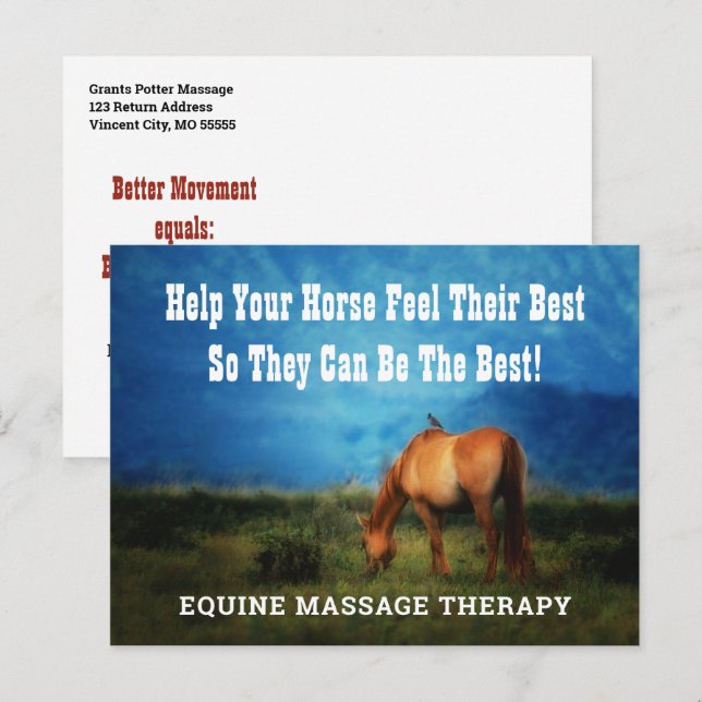 Equine Massage Therapist Horse Business Mailer Postkarte (Vorne/Hinten)