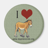 Equine Voices I Liebe Gulliver Green Magnet