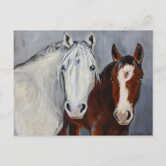 Equine Voices Mystic und Wyatt Postcard Postkarte