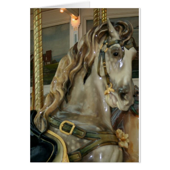 EQUISEN DES KINDES (Vorne)