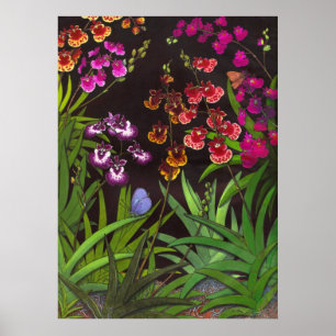 Equitant Oncidium Tolumnia Orchideen Print Poster