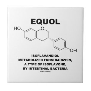Equol Isoflavandiol umgewandelt von Daidzein Fliese