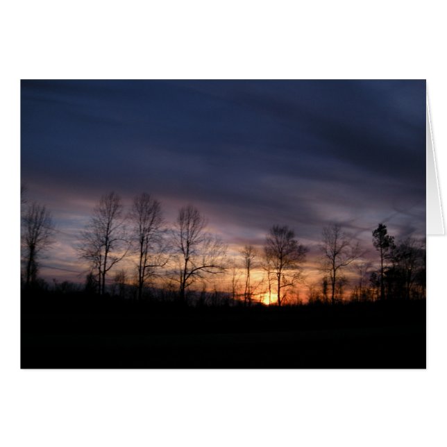 Er ernannte (Vorderseite (Horizontal))