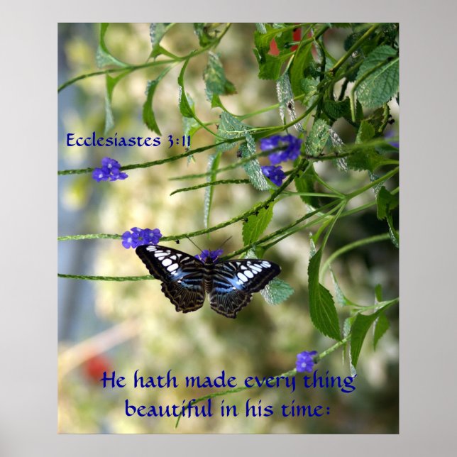 Er hat alles schöne Poster gemacht (Vorne)