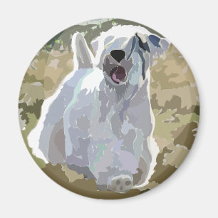 Er ist ein Engel - Sealyham, das auf dem Gebiet Magnet