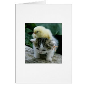 Er ist nicht schwer; Er ist mein Bruder