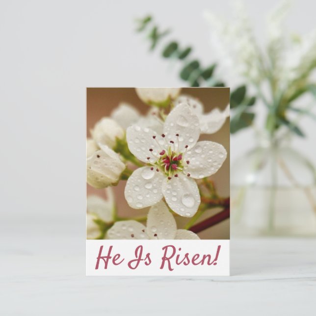 "Er ist Risen" Auferstehung Sonntag Postkarte (Stehend Vorderseite)