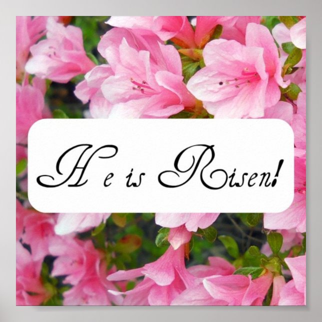 Er ist Risen! Poster (Vorne)