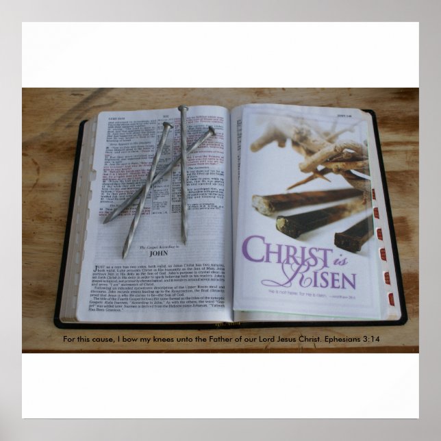 Er ist Risen Poster (Vorne)