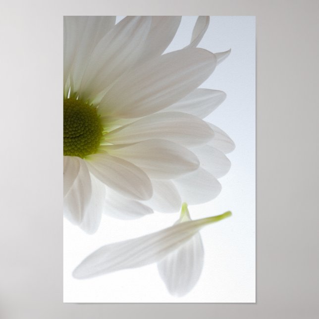 Er Liebe mich... er Lieben mich nicht Poster (Vorne)