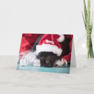 Er "Nase: wenn Sie eine ungezogene Karte hatten