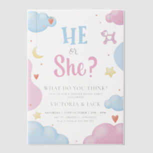 Er oder sie Aquarell Wolken & Sterne Gender-Berich