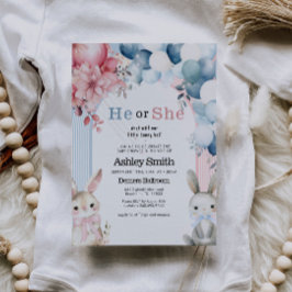 Er oder sie blasen Geschlecht offenbaren Baby-Dusc Einladung