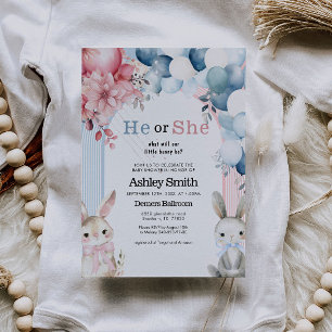 Er oder sie blasen Geschlecht offenbaren Baby-Dusc Einladung