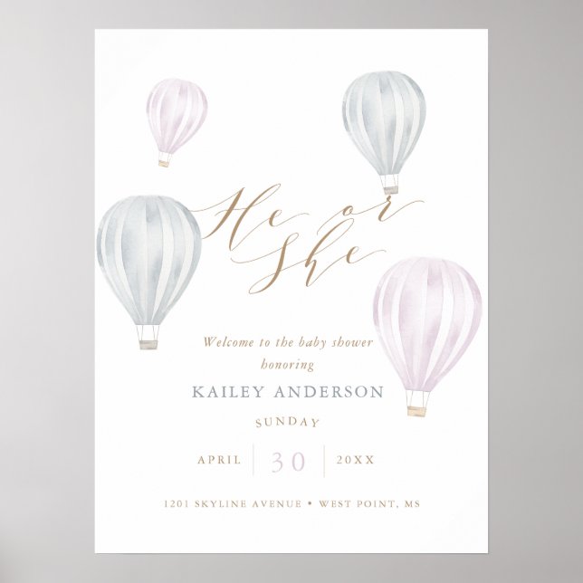 Er oder sie Geschlecht offenbaren Luftballon Babyd Poster (Vorne)