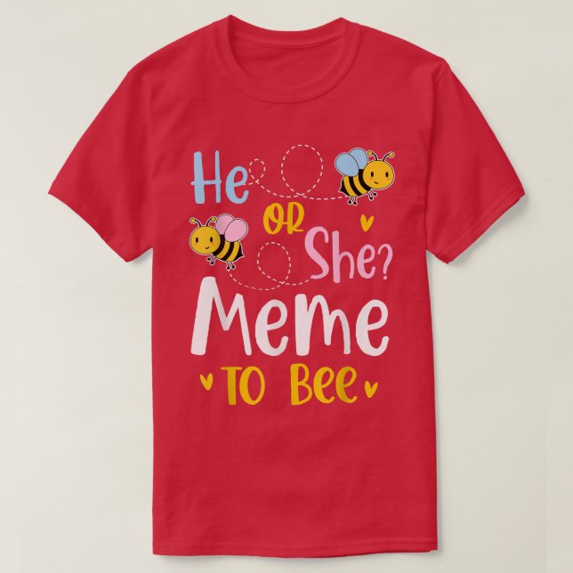Er oder sie scheint eine Gender-Offenbarung zu sei T-Shirt (Design vorne)