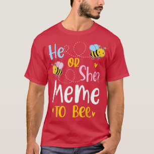 Er oder sie scheint eine Gender-Offenbarung zu sei T-Shirt