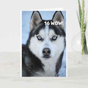 ER SAGT WARUM OH WARUM "16. GEBURTSTAG" SPASS Card Karte