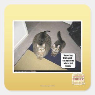 Er sezelt sich total auf. quadratischer aufkleber