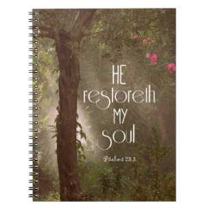 Er stellt mein Soul Bibelverse wieder her Notizblock