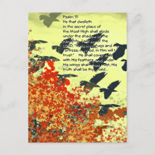 Er wird dich mit seinen Federn bedecken, Postkarte