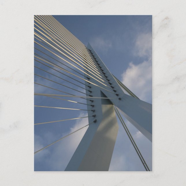 Erasmus-Brücke, Rotterdam Postkarte (Vorderseite)