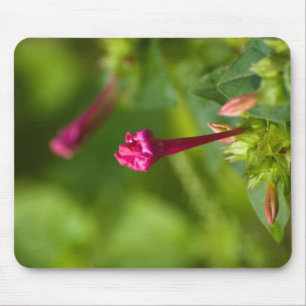 erbaute Blume Mousepad