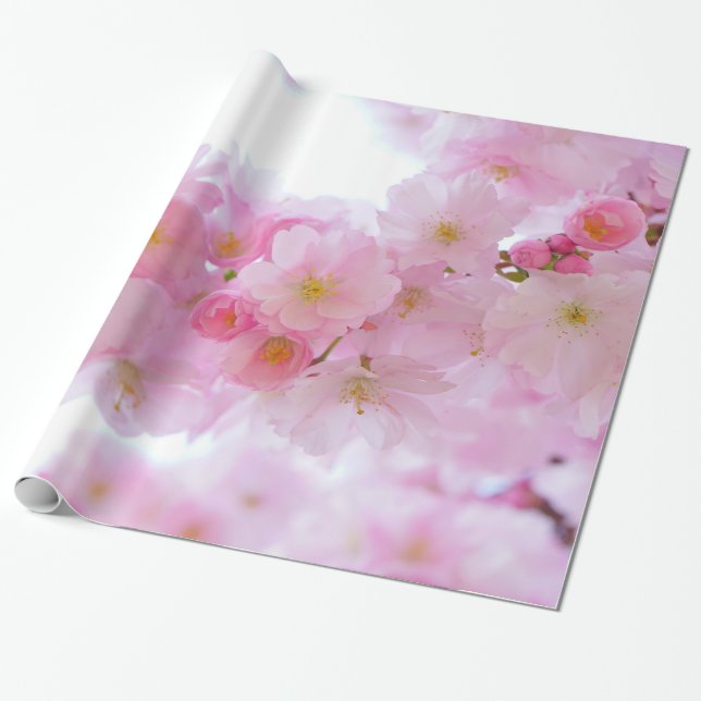 Erblassen Sie - rosa Kirschblüten Geschenkpapier (Ungerollt)