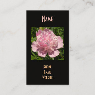 Erblassen Sie - rosa Pfingstrose Visitenkarte
