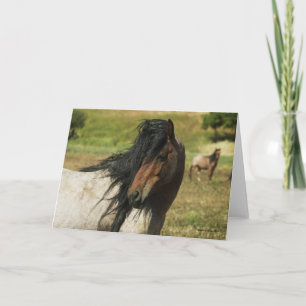 Erblicken Sie die Schönheit Karte