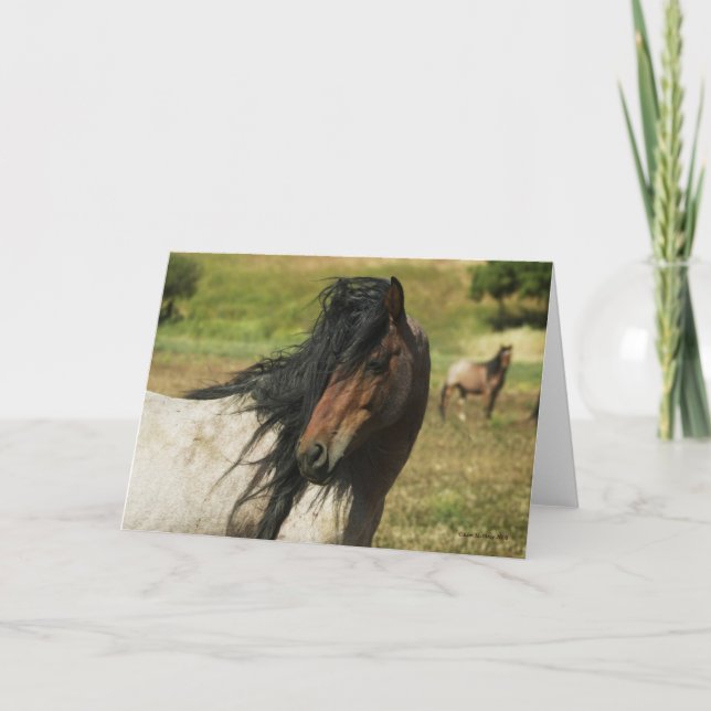 Erblicken Sie die Schönheit Karte (Vorderseite)