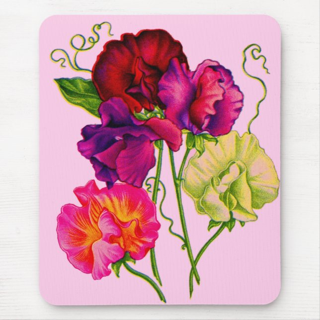 Erbse, lila und rosa mousepad (Vorne)