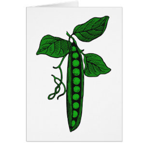 Erbsen in der Hülse