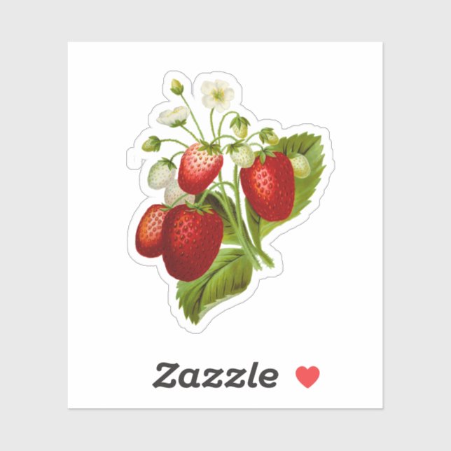 Erdbeer Vinyl Aufkleber Siegel Erdbeeren (Blatt)