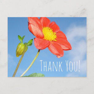 Erdbeerblüten-Dankeschön Postkarte