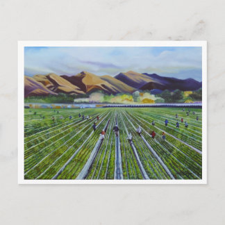 Erdbeere Fields Postkarte