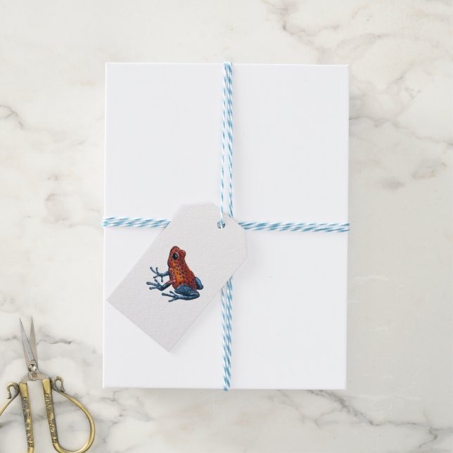 Erdbeere Giftdarmfrosch Geschenkanhänger (Mit Garn)