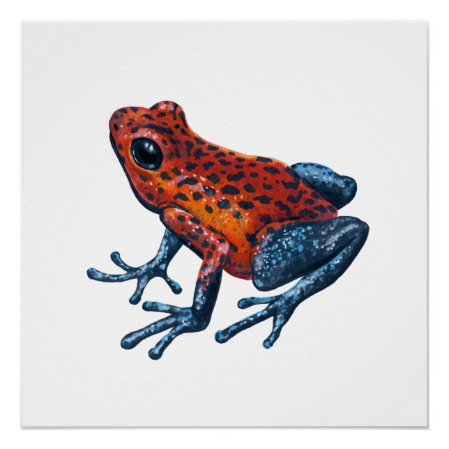 Erdbeere Giftdarmfrosch Poster (Vorderseite)