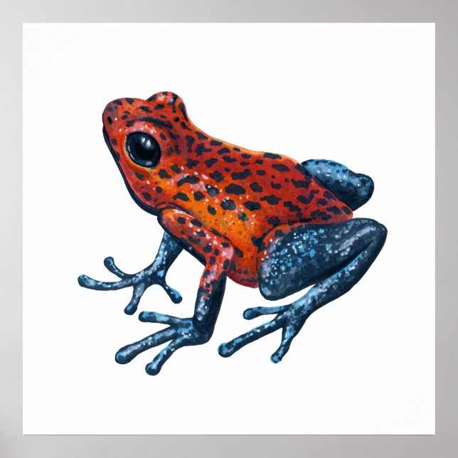 Erdbeere Giftdarmfrosch Poster (Vorne)