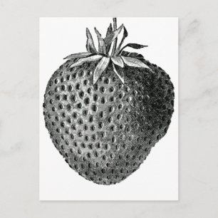Erdbeere Postkarte