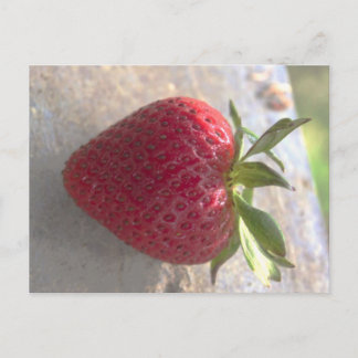 Erdbeere Postkarte
