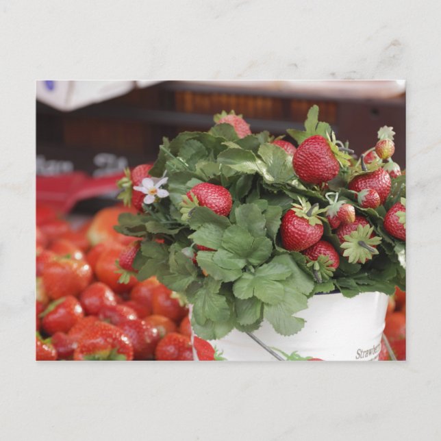 Erdbeere Postkarte (Vorderseite)