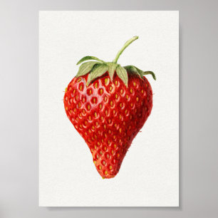 Erdbeere Vintage-Kunst Poster