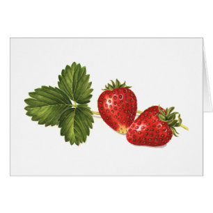 Erdbeeren