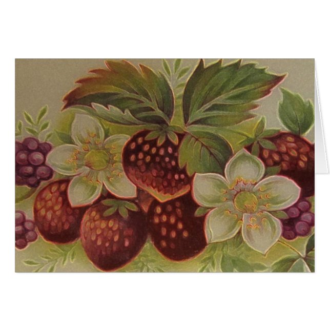 Erdbeeren (Vorderseite (Horizontal))