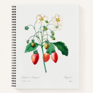 Erdbeeren Botanischer Druck Notizbuch